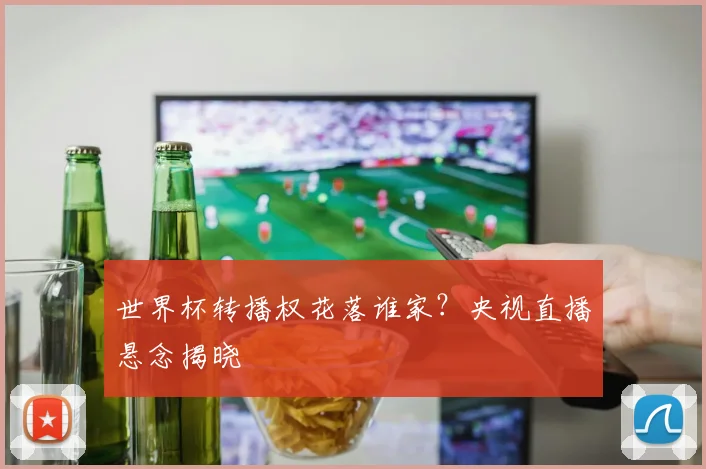 世界杯转播权花落谁家？央视直播悬念揭晓