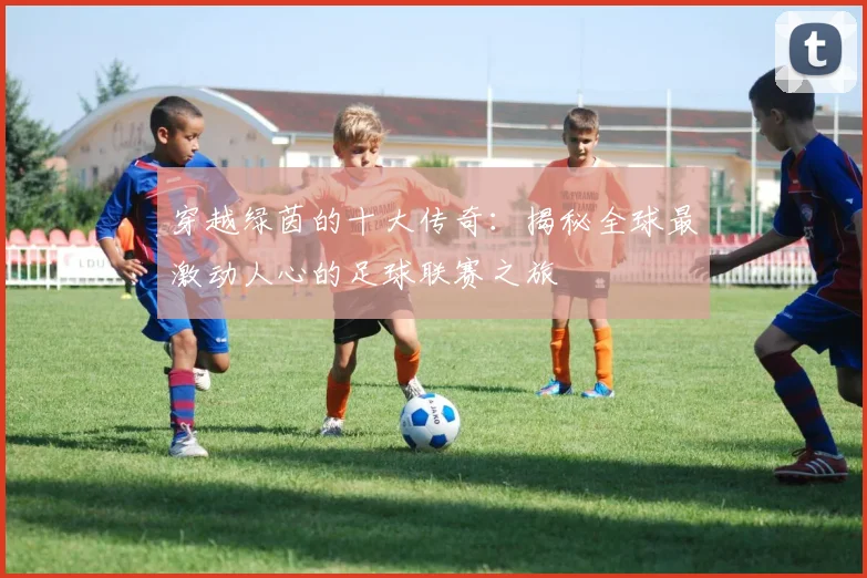 穿越绿茵的十大传奇：揭秘全球最激动人心的足球联赛之旅